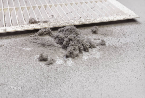 Best Local Air Duct Cleaning Services  in Wood River, NE