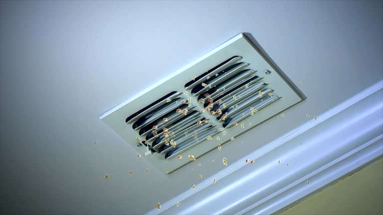 Best Commercial Air Duct Cleaning  in Wood River, NE